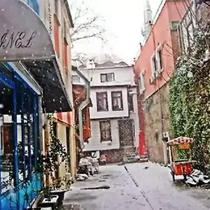 Otel Minel ***